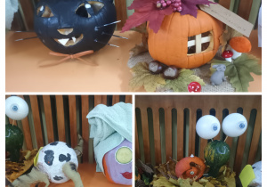 Dynie biorące udział w konkursie