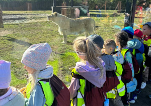 Dzieci obserwują zwierzęta w Zoo