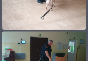 Strażnik miejski pokazuje jak obronić się przed psem