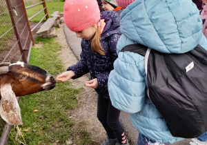 Dzieci karmią kozy w trakcie wycieczki do Dobronianki